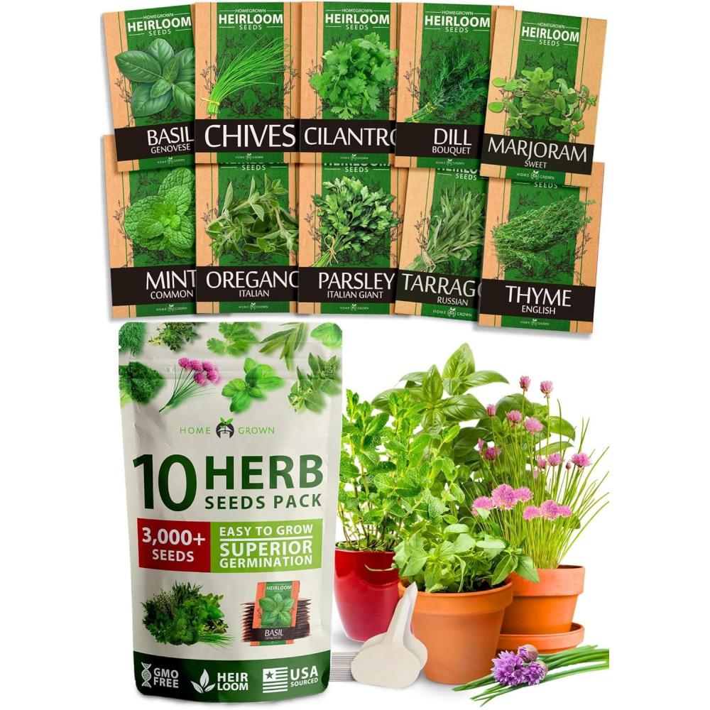 imageHOME GROWN 10 Herb Seeds for Planting 3000 NonGMO Heirloom Seeds  Extra Large Variety Pack Herb Kit  Indoor Outdoor ampamp Hydroponic  Culinary Seed Set  Grow Your Own Herbs  Gift for Beginners10Pack
