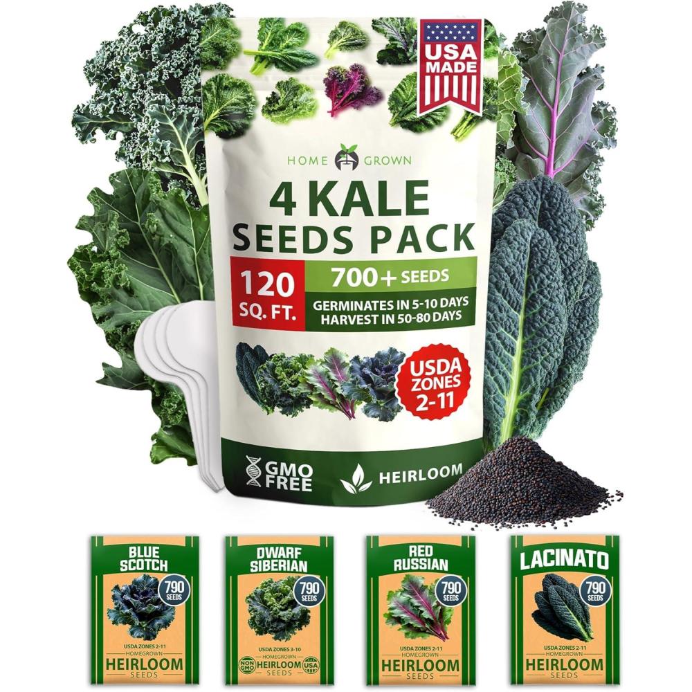 imageHOME GROWN 10 Herb Seeds for Planting 3000 NonGMO Heirloom Seeds  Extra Large Variety Pack Herb Kit  Indoor Outdoor ampamp Hydroponic  Culinary Seed Set  Grow Your Own Herbs  Gift for Beginners4Pack