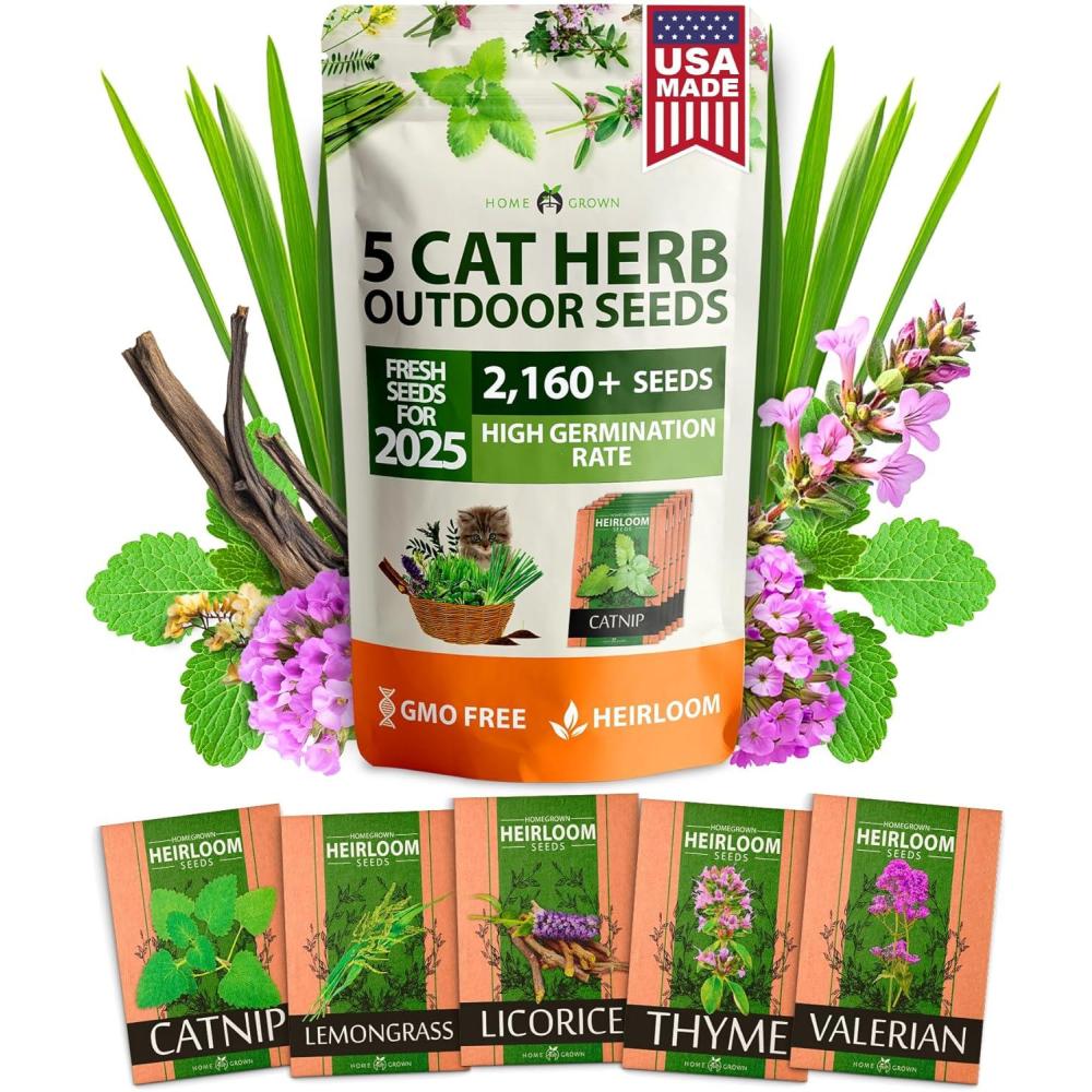 imageHOME GROWN 2160 Cat Plant Seeds Mix  Non GMO Heirloom Catnip Lemongrass Licorice Thyme ampamp Valerian  PetFriendly Indoor Garden Refill Kit for Cats ampamp Kittens
