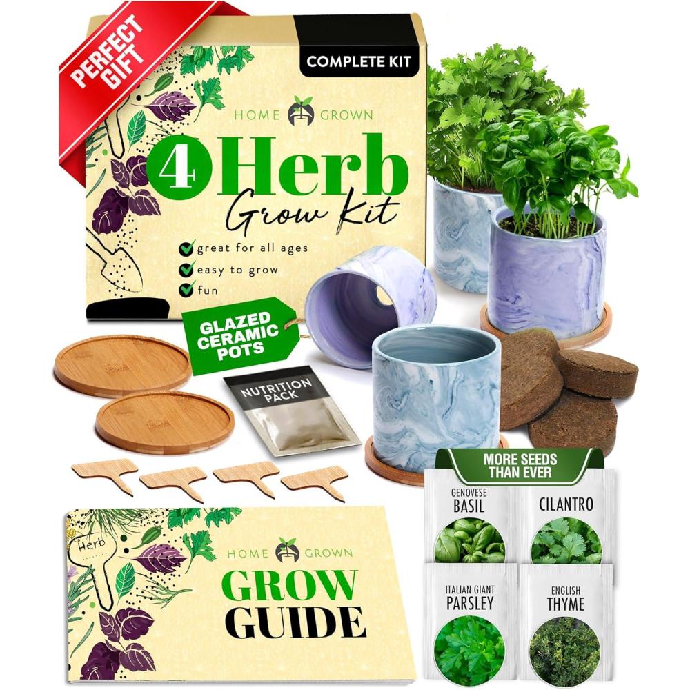 imageHOME GROWN Bonsai Tree Kit  6 Heirloom Varieties with Unique Pots  DIY Bonsai Starter Kit for Adults ampamp Beginners  Christmas Gift for Men Women Gardeners Plant Lovers  Indoor Growing KitCeramic Grow Kit