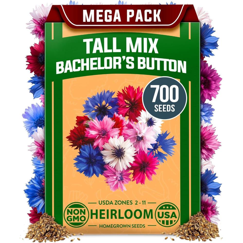 imageHOME GROWN German Chamomile Seed Pack 2280 Non GMO Heirloom Seeds for Planting for Sustainable Gardens and Soothing Medicinal Herbal Teas Matricaria chamomillaBachelors Button Tall