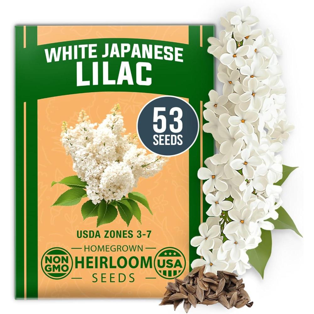 imageHOME GROWN German Chamomile Seed Pack 2280 Non GMO Heirloom Seeds for Planting for Sustainable Gardens and Soothing Medicinal Herbal Teas Matricaria chamomillaWhite Lilac
