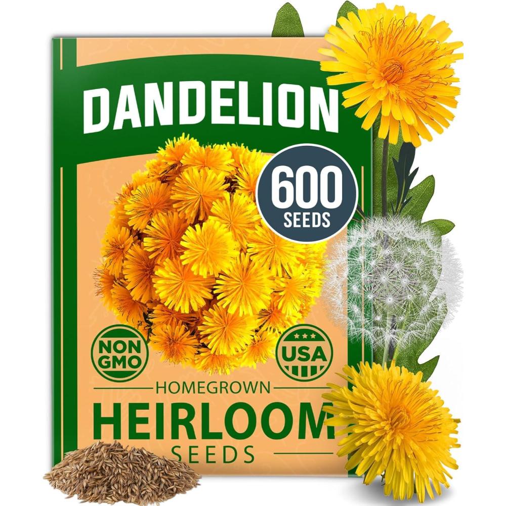 imageHOME GROWN German Chamomile Seed Pack 2280 Non GMO Heirloom Seeds for Planting for Sustainable Gardens and Soothing Medicinal Herbal Teas Matricaria chamomillaDandelion