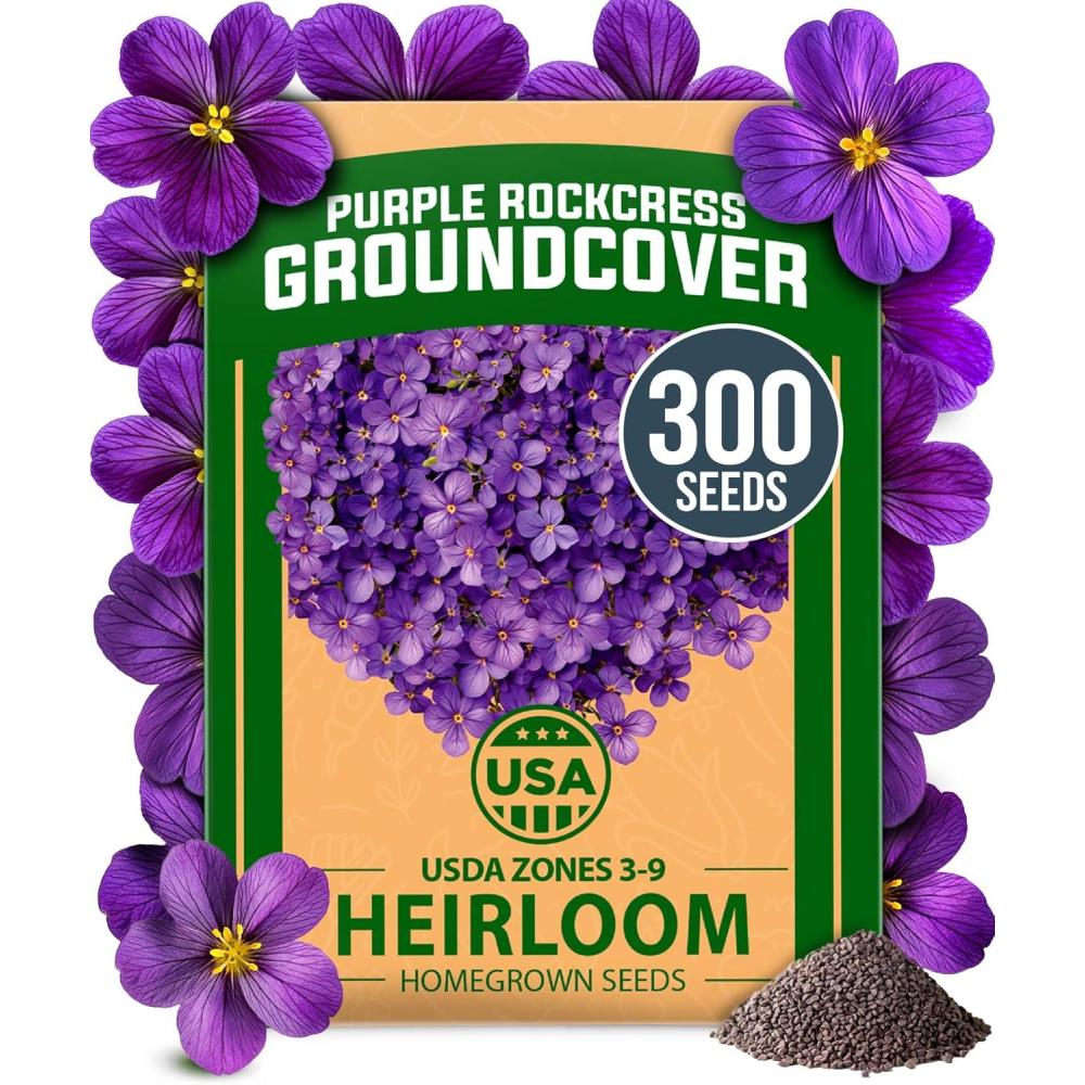 imageHOME GROWN German Chamomile Seed Pack 2280 Non GMO Heirloom Seeds for Planting for Sustainable Gardens and Soothing Medicinal Herbal Teas Matricaria chamomillaRock Cress Purple