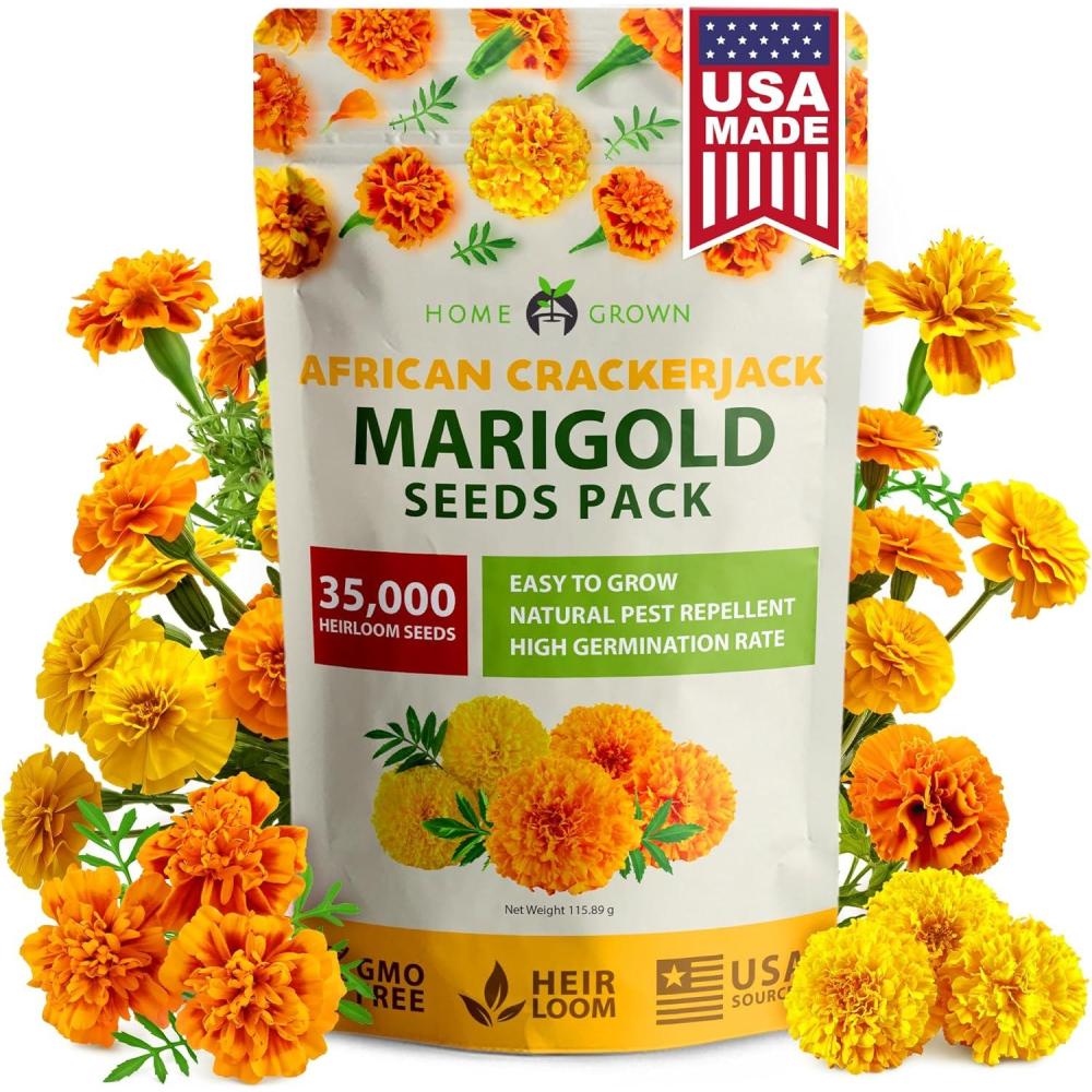 imageHOME GROWN German Chamomile Seed Pack 2280 Non GMO Heirloom Seeds for Planting for Sustainable Gardens and Soothing Medicinal Herbal Teas Matricaria chamomillaAfrican Marigold