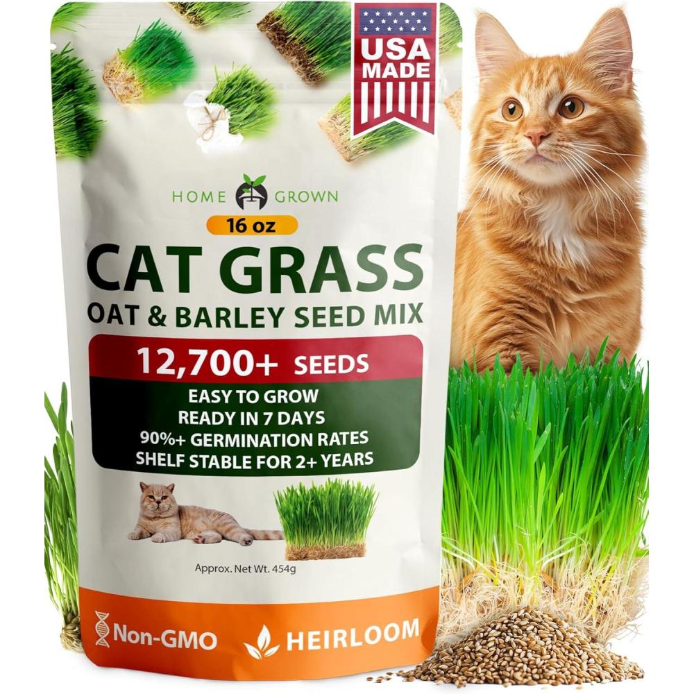 imageHOME GROWN Non GMO 1 Pound Cat Grass Seeds for Cat ampamp Kittens Oat ampamp Barley Mix 100 Heirloom Grow Fresh Kitty Grass for Chewing Pet Grass for Cats Indoor GardenCat Grass