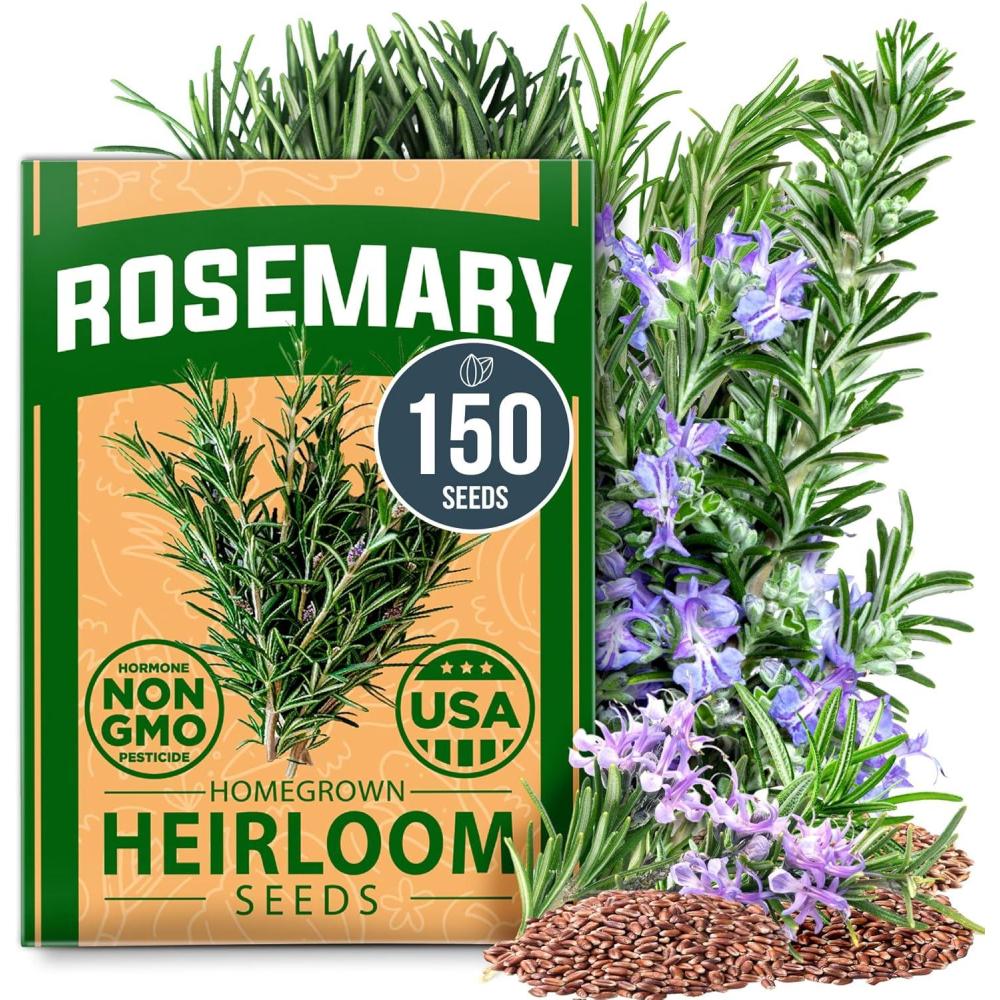 imageHOME GROWN Non GMO 1 Pound Cat Grass Seeds for Cat ampamp Kittens Oat ampamp Barley Mix 100 Heirloom Grow Fresh Kitty Grass for Chewing Pet Grass for Cats Indoor GardenRosemary