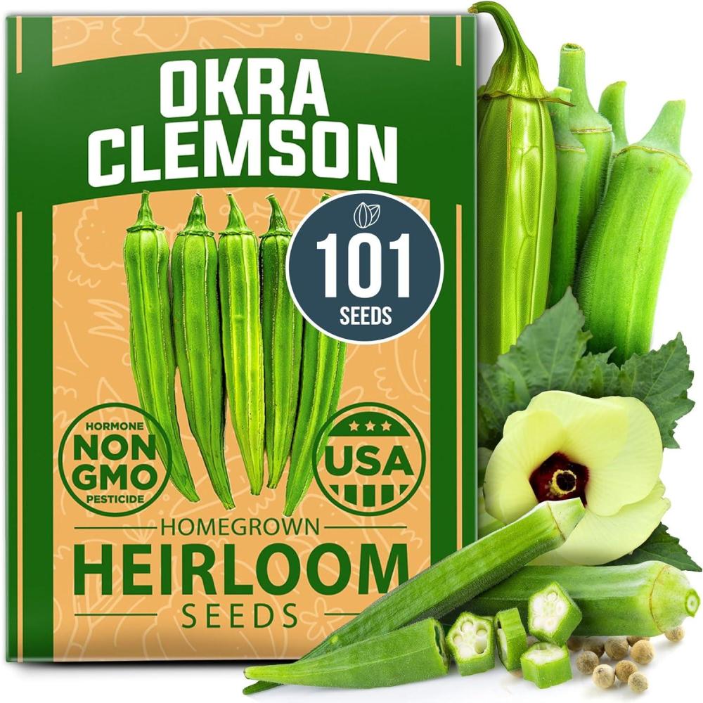 imageHOME GROWN Non GMO Luffa Seeds Luffa aegyptiaca 40 Heirloom Loofah Gourd Seeds for Planting High Germination Rate  Make Sponges or Harvest Young Loofahs for EatingOkra