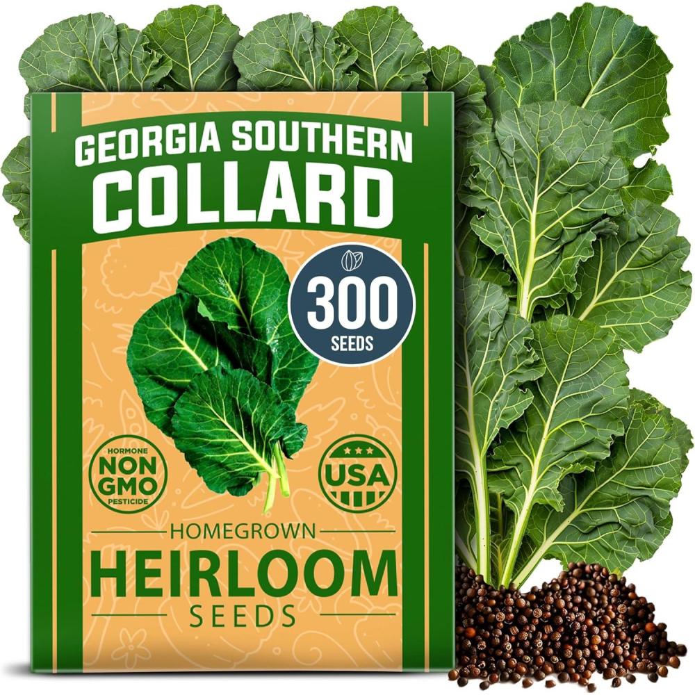 imageHOME GROWN Non GMO Luffa Seeds Luffa aegyptiaca 40 Heirloom Loofah Gourd Seeds for Planting High Germination Rate  Make Sponges or Harvest Young Loofahs for EatingGeorgia Collard
