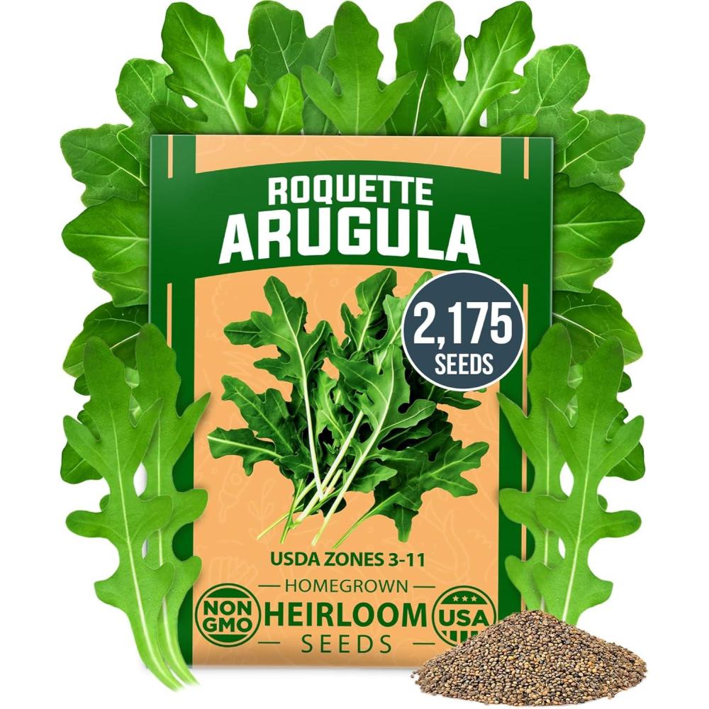 imageHOME GROWN Non GMO Luffa Seeds Luffa aegyptiaca 40 Heirloom Loofah Gourd Seeds for Planting High Germination Rate  Make Sponges or Harvest Young Loofahs for EatingArugula