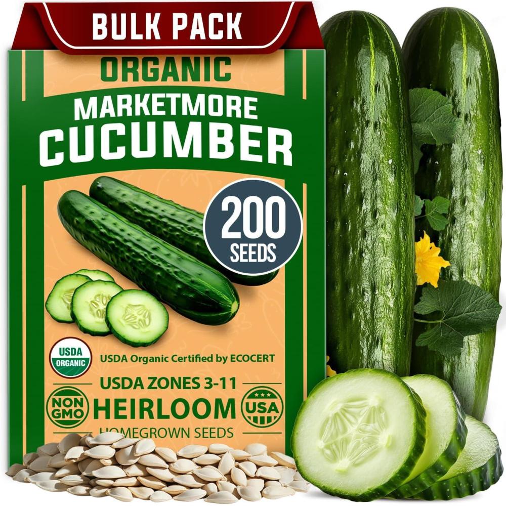 imageHOME GROWN Non GMO Luffa Seeds Luffa aegyptiaca 40 Heirloom Loofah Gourd Seeds for Planting High Germination Rate  Make Sponges or Harvest Young Loofahs for EatingCucumber