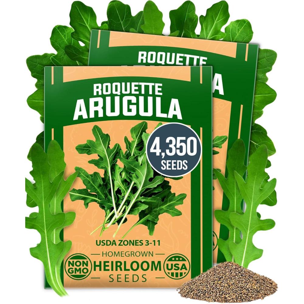 imageHOME GROWN Premium Common Mint Seeds Bulk Pack 3600 Heirloom Herb Seeds USA Sourced  Ideal for Planting Outdoors or Indoors for a Fresh Mint Tea Garden Mentha sppArugula 2Pack