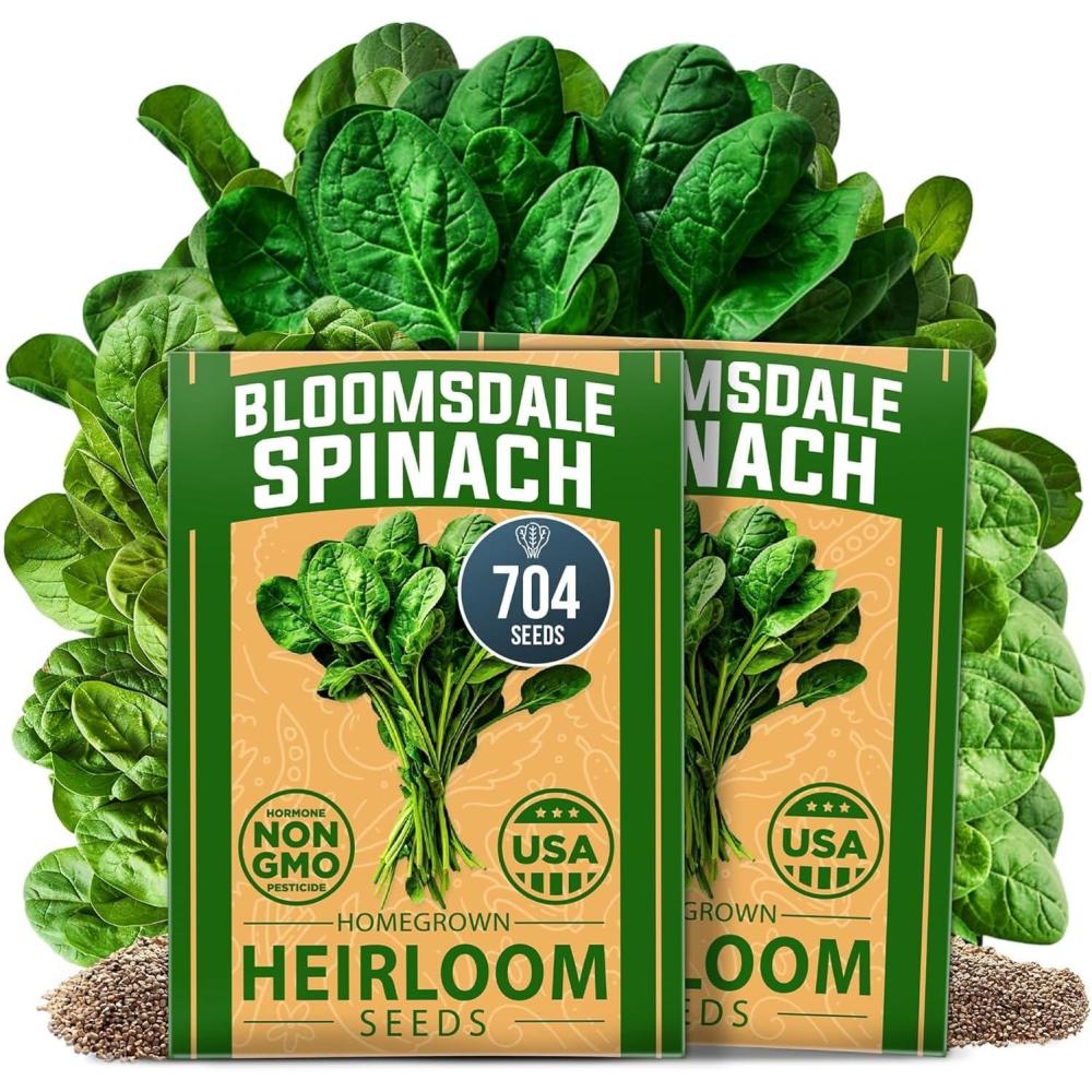 imageHOME GROWN Premium Common Mint Seeds Bulk Pack 3600 Heirloom Herb Seeds USA Sourced  Ideal for Planting Outdoors or Indoors for a Fresh Mint Tea Garden Mentha sppSpinach 2Pack