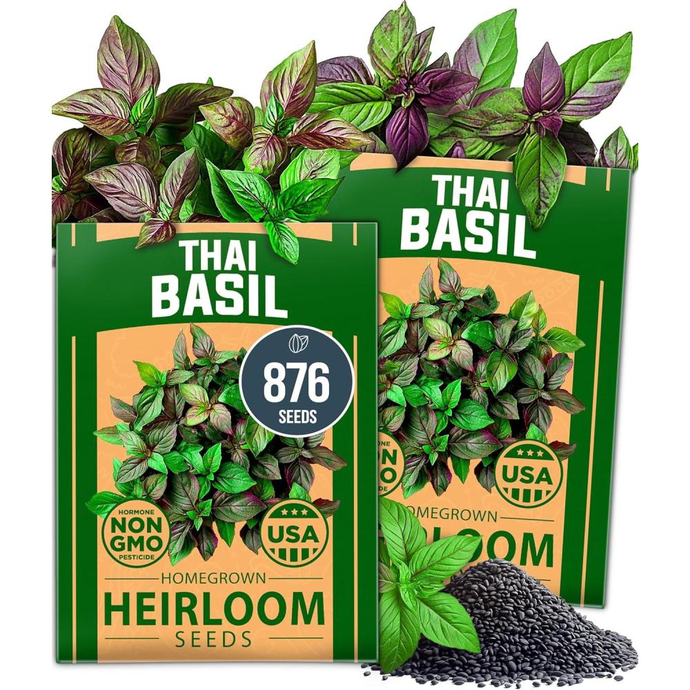 imageHOME GROWN Premium Common Mint Seeds Bulk Pack 3600 Heirloom Herb Seeds USA Sourced  Ideal for Planting Outdoors or Indoors for a Fresh Mint Tea Garden Mentha sppThai Basil 2Pack