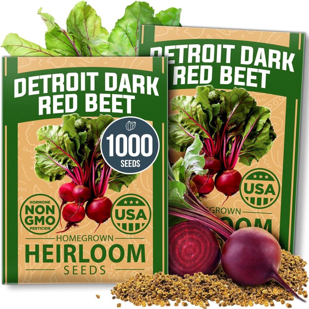 imageHOME GROWN Premium Common Mint Seeds Bulk Pack 3600 Heirloom Herb Seeds USA Sourced  Ideal for Planting Outdoors or Indoors for a Fresh Mint Tea Garden Mentha sppRed Beet 2Pack