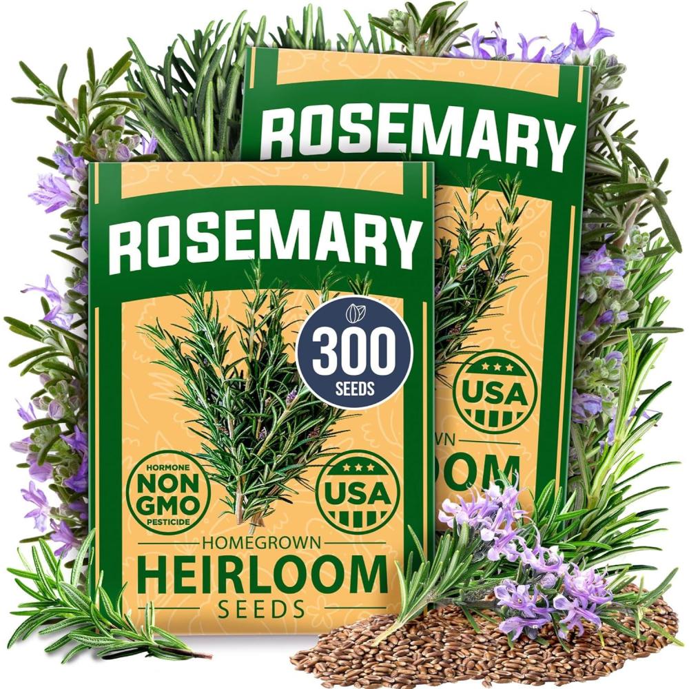 imageHOME GROWN Premium Common Mint Seeds Bulk Pack 3600 Heirloom Herb Seeds USA Sourced  Ideal for Planting Outdoors or Indoors for a Fresh Mint Tea Garden Mentha sppRosemary 2Pack