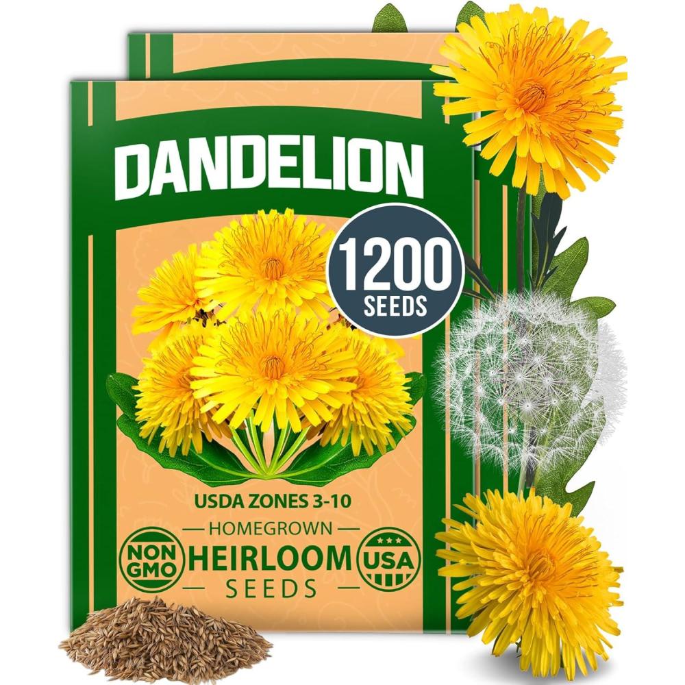 imageHOME GROWN Premium Common Mint Seeds Bulk Pack 3600 Heirloom Herb Seeds USA Sourced  Ideal for Planting Outdoors or Indoors for a Fresh Mint Tea Garden Mentha sppDandelion 2Pack