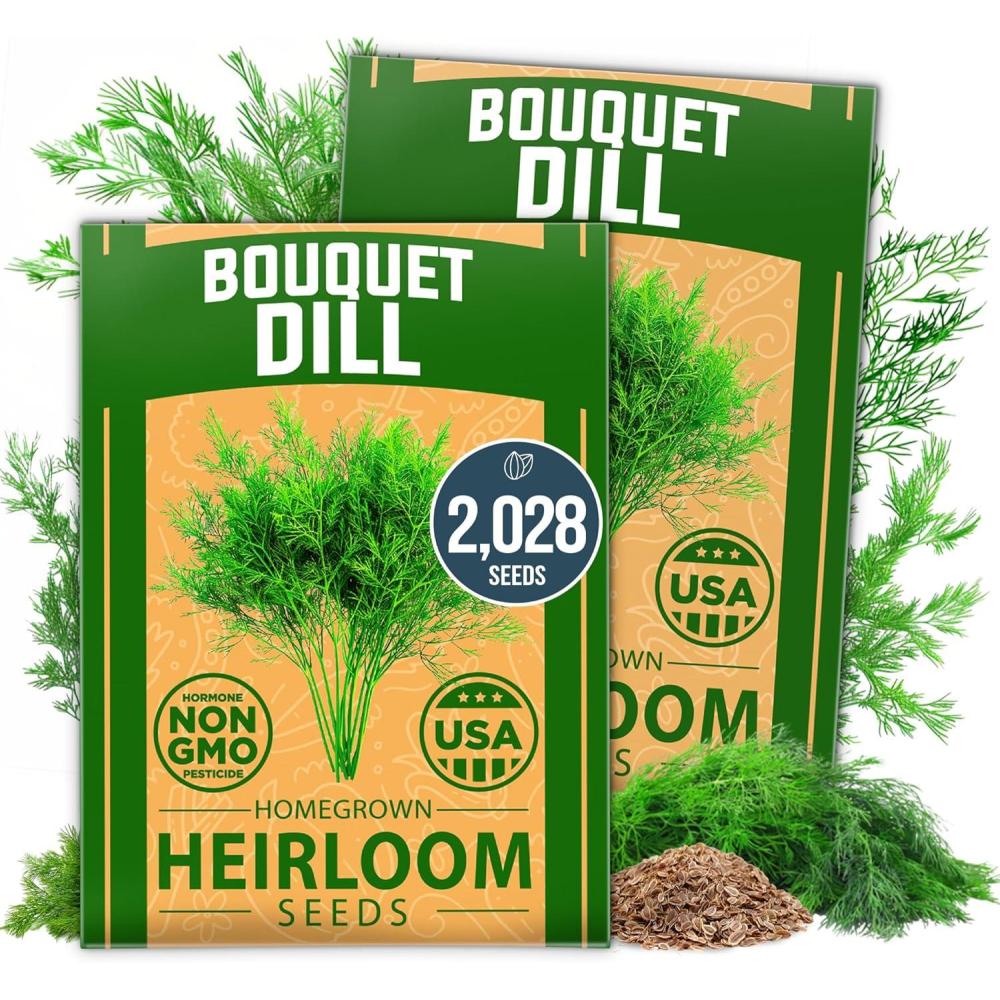 imageHOME GROWN Premium Common Mint Seeds Bulk Pack 3600 Heirloom Herb Seeds USA Sourced  Ideal for Planting Outdoors or Indoors for a Fresh Mint Tea Garden Mentha sppDill 2Pack