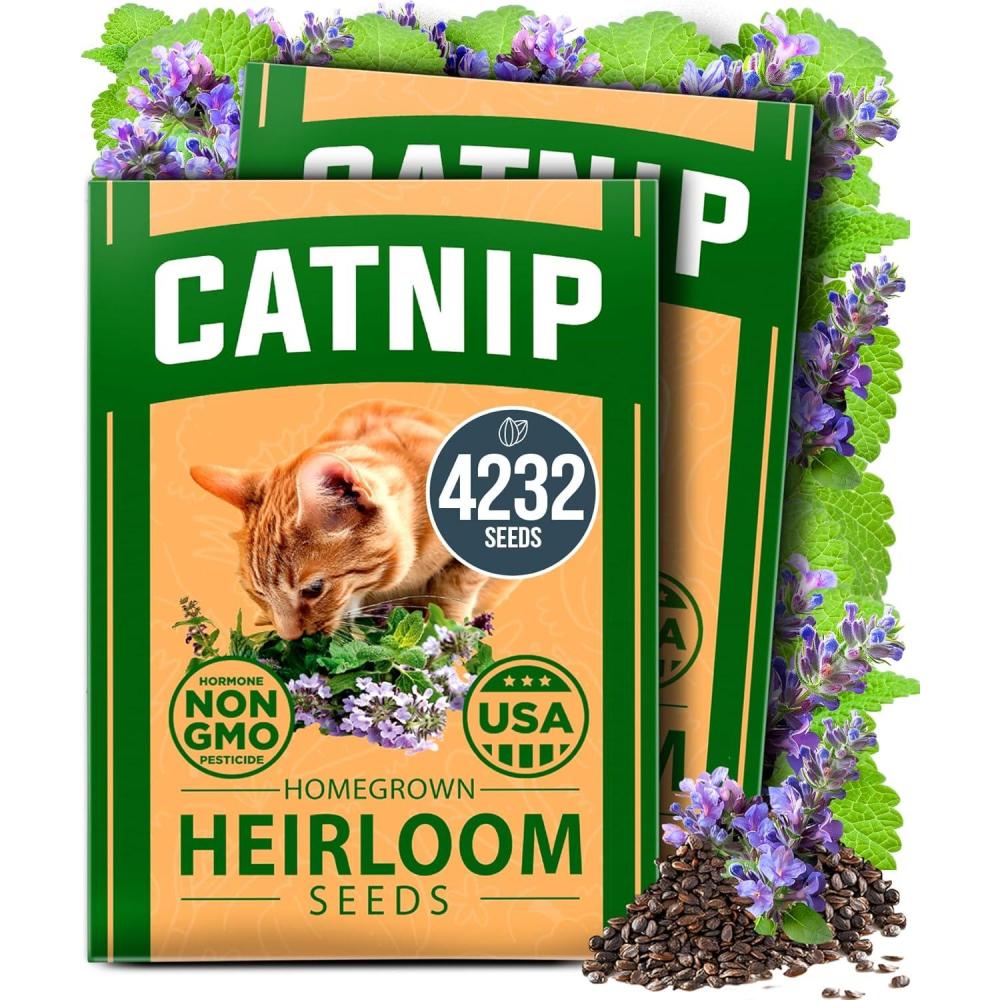 imageHOME GROWN Premium Common Mint Seeds Bulk Pack 3600 Heirloom Herb Seeds USA Sourced  Ideal for Planting Outdoors or Indoors for a Fresh Mint Tea Garden Mentha sppCatnip 2Pack