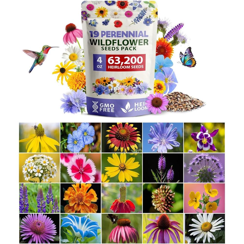 imageHOME GROWN Wildflower Seeds Mix  49100 2oz Bulk Mix 21 Varieties Wild Flower  Bee and Butterfly Garden Pack  Native Annual Flowers for Planting for Your Garden19 Varieties Perennial 4 oz