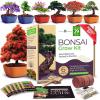 Bonsai Master Grow Kit