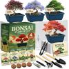 imageHOME GROWN Herb Garden Planter Indoor Kit  Unique Christmas Gift for Adults Men ampamp Women  Grow 4 Heirloom Herb Seeds on Kitchen Window  Beginner DIY Craft ampamp Hobby Gardening Gift for Plant LoversStarter Bonsai Grow Kit
