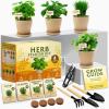 Starter Herb Grow Kit