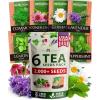 Tea Herb 6-Pack