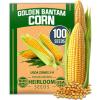 Corn Golden Bantam