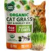 imageHOME GROWN Organic CatGrass Seed Mix Oat ampamp Barley  4 oz  Easy Indoor Planter