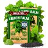 Lemon Balm 2-Pack