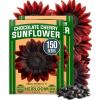 Cherry Sunflower 2-Pack