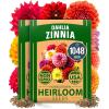 Zinnia Dahlia 2-Pack
