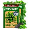 Peppermint 2-Pack