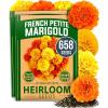 Marigold 2-Pack
