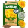 Dandelion 2-Pack