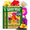 Moss Rose 2-Pack