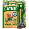 Catnip 2-Pack