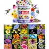 19 Varieties Perennial 2 oz