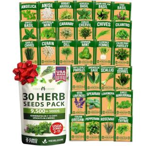 HOME GROWN 10 Herb Seeds for Planting 3,000+ Non-GMO Heirloom Seeds | Extra Large Variety Pack Herb Kit – Indoor Outdoor & Hydroponic | Culinary Seed Set | Grow Your Own Herbs | Gift for Beginners(30-Pack)