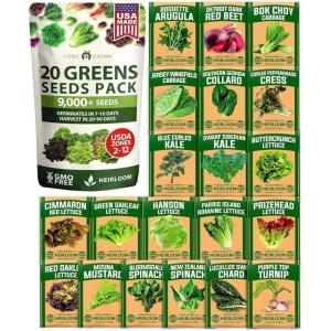 HOME GROWN 10 Herb Seeds for Planting 3,000+ Non-GMO Heirloom Seeds | Extra Large Variety Pack Herb Kit – Indoor Outdoor & Hydroponic | Culinary Seed Set | Grow Your Own Herbs | Gift for Beginners(20-Pack Greens)