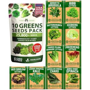 HOME GROWN 10 Herb Seeds for Planting 3,000+ Non-GMO Heirloom Seeds | Extra Large Variety Pack Herb Kit – Indoor Outdoor & Hydroponic | Culinary Seed Set | Grow Your Own Herbs | Gift for Beginners(10-Pack Greens)