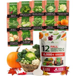 HOME GROWN 10 Herb Seeds for Planting 3,000+ Non-GMO Heirloom Seeds | Extra Large Variety Pack Herb Kit – Indoor Outdoor & Hydroponic | Culinary Seed Set | Grow Your Own Herbs | Gift for Beginners(12-Pack Fall)