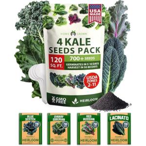 HOME GROWN 10 Herb Seeds for Planting 3,000+ Non-GMO Heirloom Seeds | Extra Large Variety Pack Herb Kit – Indoor Outdoor & Hydroponic | Culinary Seed Set | Grow Your Own Herbs | Gift for Beginners(4-Pack)