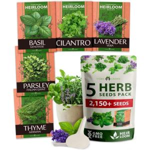 HOME GROWN 10 Herb Seeds for Planting 3,000+ Non-GMO Heirloom Seeds | Extra Large Variety Pack Herb Kit – Indoor Outdoor & Hydroponic | Culinary Seed Set | Grow Your Own Herbs | Gift for Beginners(5-Pack)