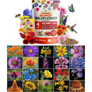 HOME GROWN 131,200+ Pure Wildflower Seeds 𝗨𝗦𝗔 – Premium Texas Flower Seeds [3 Oz] Perennial Garden Seeds for Birds & Butterflies – Wild Flowers Bulk Perennial: 22 Varieties Flower Seed for Planting(4 oz)