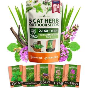 HOME GROWN 2,160+ Cat Plant Seeds Mix – Non GMO Heirloom Catnip, Lemongrass, Licorice, Thyme & Valerian – Pet-Friendly Indoor Garden Refill Kit for Cats & Kittens