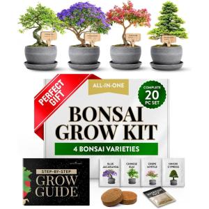HOME GROWN Bonsai Tree Kit – 6 Heirloom Varieties with Unique Pots – DIY Bonsai Starter Kit for Adults & Beginners – Christmas Gift for Men Women Gardeners Plant Lovers – Indoor Growing Kit(Bonsai Deluxe Grow Kit)
