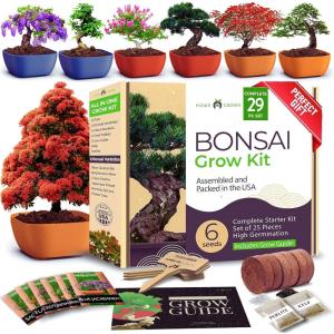 HOME GROWN Bonsai Tree Kit – 6 Heirloom Varieties with Unique Pots – DIY Bonsai Starter Kit for Adults & Beginners – Christmas Gift for Men Women Gardeners Plant Lovers – Indoor Growing Kit(Bonsai Master Grow Kit)