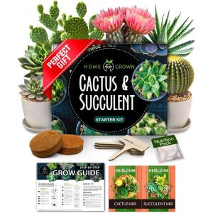 HOME GROWN Bonsai Tree Kit – 6 Heirloom Varieties with Unique Pots – DIY Bonsai Starter Kit for Adults & Beginners – Christmas Gift for Men Women Gardeners Plant Lovers – Indoor Growing Kit(Cactus Garden Kit)